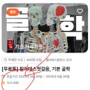 제주필라테스자격증, 단언컨대 이렇게 운영하는 곳 없습니다.