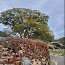 암태 송곡우실 이미지