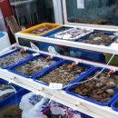 모항초등학교 이미지