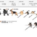 동탄중앙동물병원 이미지