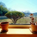 송정행정사사무소 이미지