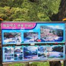 약수골막국수