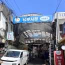 낭만강아지 | 화곡 사진관ㅣ낭만사진관 강아지 증명사진