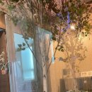 김비뇨기과의원 이미지