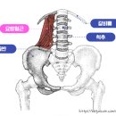 바디필 헬스 스피닝 이미지