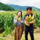 (주)하농 이미지