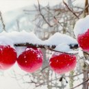 김천문화예술회관 이미지