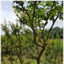 우리섬펜션민박 이미지