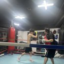 더 파이팅 복싱짐 이미지