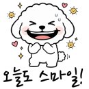 더블유동물병원 이미지