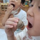 한나유치원 이미지