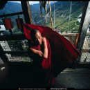 향기있는풍경 이미지