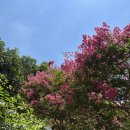 창의마을유치원 | 여름방학 3박 4일 전주·완주여행 기록