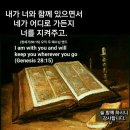 해와달 티스토리