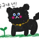 핑크프린세스