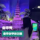 아쿠아리움 | 충청도 충주 아쿠아리움 입장료 후기 대전근교 뚜벅이여행