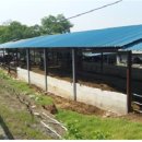 영산강뚝방길 이미지