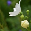 주몽학교 이미지