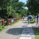 쇠소깍카라반 이미지