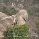 관악산 수영장능선 기암괴석(동물바위, 동물얼굴바위, 돼지발톱바위, 말바위) 이미지