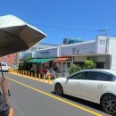 ㈜청운 | [제주도 직장인 일상] 제주도 골목상권 제가 살려보겠습니다.
