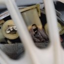 카닥터모터스 이미지