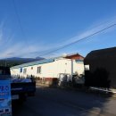 팜핑제주 이미지