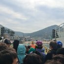 갯돌 Daum카페