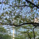 신원아침도시경로당 이미지