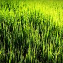 소사동사람들 이미지