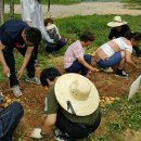 마음농장 이미지
