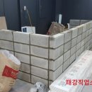 태강 직업소개소
