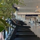 바모스짐 이미지