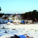 연승원 Daum카페