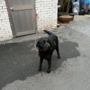 가락파출소 이미지