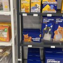 청키딩키 이미지