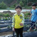 승준농장(3) Daum카페