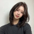 가애