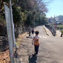 서홍동 서귀포 보건소 옆 | 가족 나들이 제주 서귀포 서홍동 솜반천 둘레길 천지연폭포 아이들과 다녀온 후기