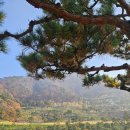 일레븐CC | 충주 일레븐CC 11월 라운딩 후기: 늦가을 정취 가득한 도전적인 코스 공략법