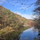 2025년 늦가을여행! 1박2일 첫째 날 이야기(상소동 산림욕장-전주향교) 이미지