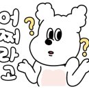 크로스핏더리얼