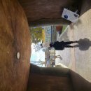 아라마루 | 사천 아라마루 아쿠아리움·동물원 후기｜주차팁부터 관람코스까지 한눈에