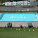 비비&숑숑반려견펜션