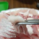 민어사랑 이미지