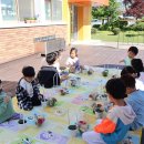 청안초등학교 병설유치원 티스토리