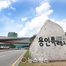 991 이미지