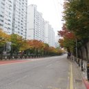 갯골수로1 이미지