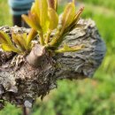 이병주농장 이미지