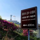 홍범식군수순절비 이미지